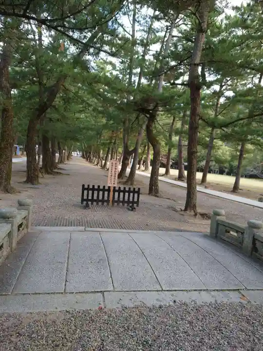 出雲大社(島根県)