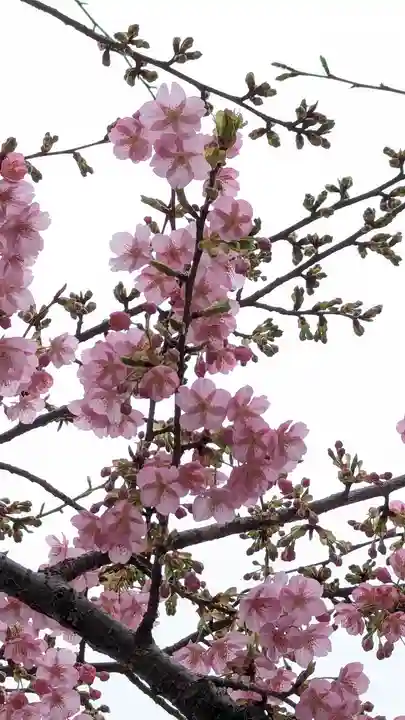 車折神社(京都府)
