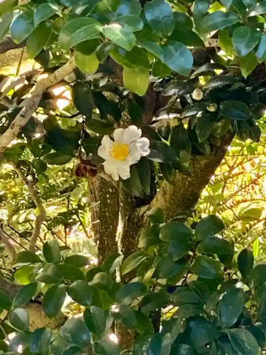 大法院(京都府)