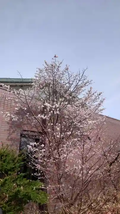 相馬神社(北海道)
