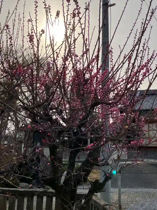 乙津寺 (鏡島弘法)(岐阜県)