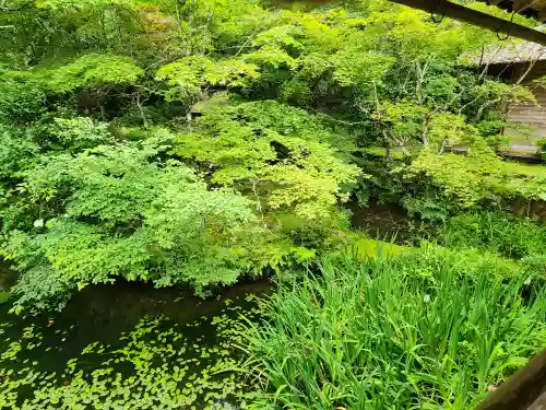 慧日寺の庭園