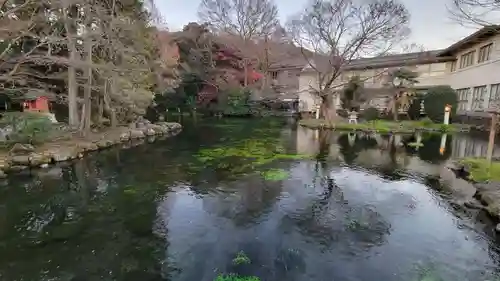 富士山本宮浅間大社(静岡県)