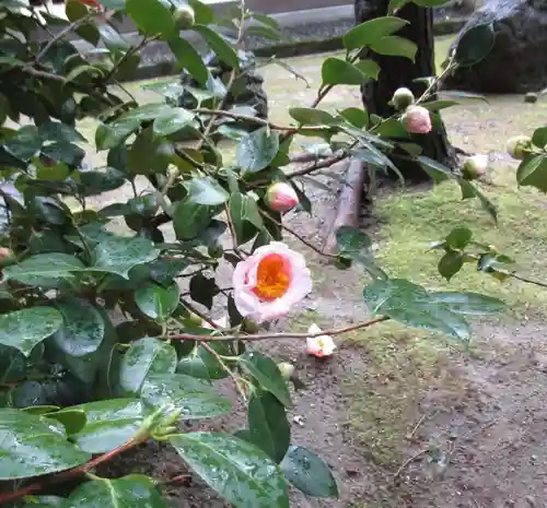 城南宮(京都府)