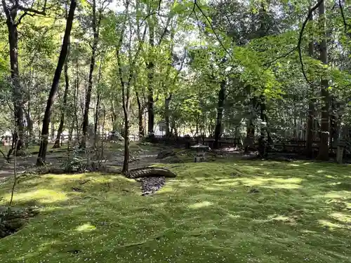 野宮神社(京都府)