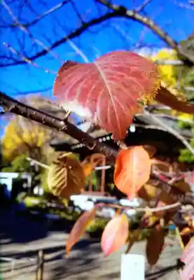 鳩森八幡神社(東京都)