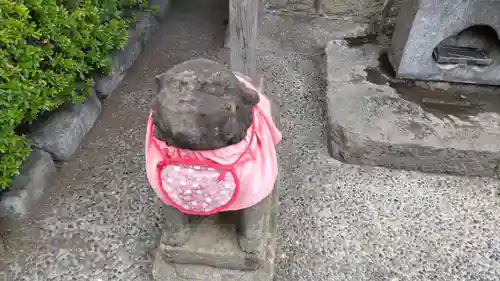 浅草寺の狛犬