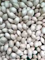 比々多神社(神奈川県)