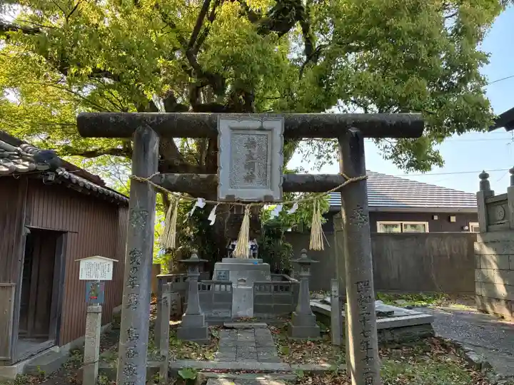大麻比古神社(徳島県)