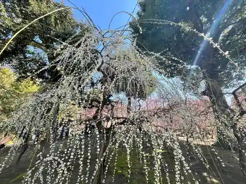城南宮(京都府)
