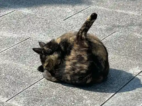 大興寺(香川県)