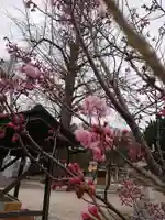 賀羅加波神社の自然