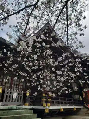 熊野神社(東京都)