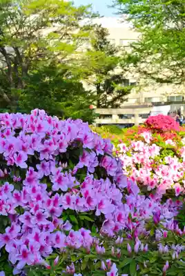 根津神社(東京都)