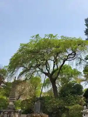 上合寺(福島県)