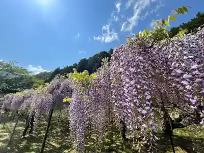 天台宗 五大山 白毫寺(兵庫県)