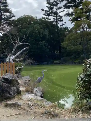 嚴島神社 (京都御苑)の動物