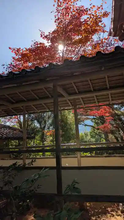 光悦寺(京都府)