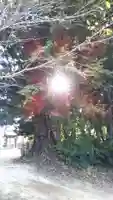 総願寺の周辺