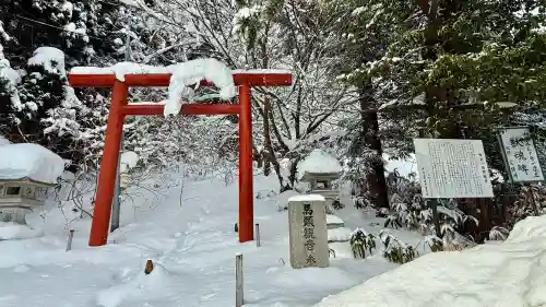 馬頭観音の{uncategorized: "未分類", other: "その他", undefined: "問題あり", building: "その他建物", grave: "お墓", sacred_gate: "鳥居", guardian: "狛犬", statue: "像", buddha: "仏像", history: "歴史", nature: "自然", garden: "庭園", animal: "動物", pagoda: "塔", temizu: "手水舎", mountain_gate: "山門・神門", sanctuary: "本殿・本堂", subordinate: "末社・摂社", art: "芸術", scenery: "景色", jizo: "地蔵", ema: "絵馬", goshuin: "御朱印", omikuji: "おみくじ", items: "授与品その他", amulet: "お守り", goshuincho: "御朱印帳", eats: "食事", festival: "お祭り", votive_dance: "神楽", shichigosan: "七五三参", wedding: "結婚式", experience: "体験その他", initially: "初詣", around: "周辺", anti_infection: "感染症対策"}