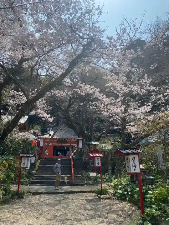 伊那下神社の{uncategorized: "未分類", other: "その他", undefined: "問題あり", building: "その他建物", grave: "お墓", sacred_gate: "鳥居", guardian: "狛犬", statue: "像", buddha: "仏像", history: "歴史", nature: "自然", garden: "庭園", animal: "動物", pagoda: "塔", temizu: "手水舎", mountain_gate: "山門・神門", sanctuary: "本殿・本堂", subordinate: "末社・摂社", art: "芸術", scenery: "景色", jizo: "地蔵", ema: "絵馬", goshuin: "御朱印", omikuji: "おみくじ", items: "授与品その他", amulet: "お守り", goshuincho: "御朱印帳", eats: "食事", festival: "お祭り", votive_dance: "神楽", shichigosan: "七五三参", wedding: "結婚式", experience: "体験その他", initially: "初詣", around: "周辺", anti_infection: "感染症対策"}