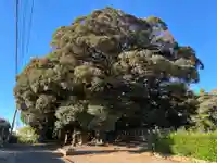 三社神社(千葉県)