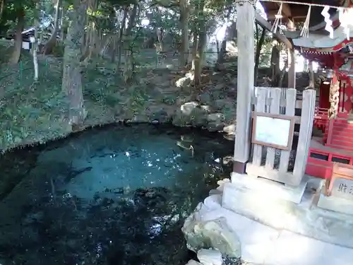 泉神社の庭園