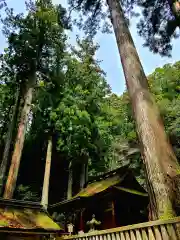 鳳来山東照宮(愛知県)