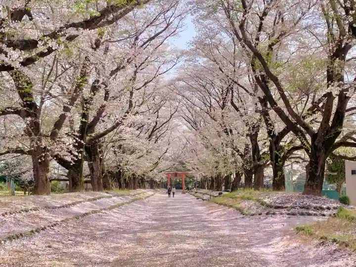 東蕗田天満社の自然