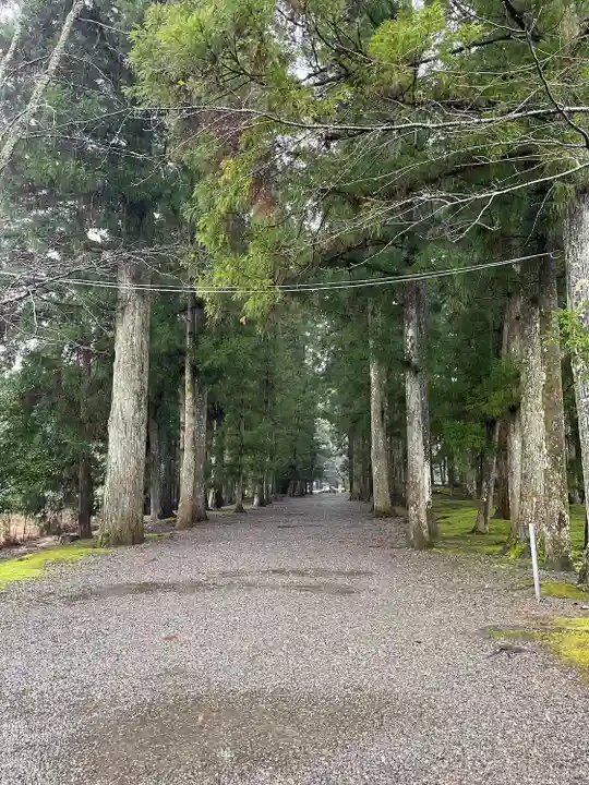 大斎原(熊野本宮大社旧社地)(和歌山県)