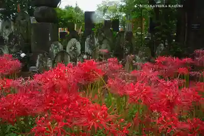 宝蔵院(東京都)