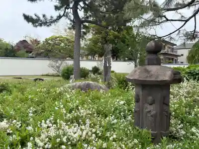 南蔵院の{uncategorized: "未分類", other: "その他", undefined: "問題あり", building: "その他建物", grave: "お墓", sacred_gate: "鳥居", guardian: "狛犬", statue: "像", buddha: "仏像", history: "歴史", nature: "自然", garden: "庭園", animal: "動物", pagoda: "塔", temizu: "手水舎", mountain_gate: "山門・神門", sanctuary: "本殿・本堂", subordinate: "末社・摂社", art: "芸術", scenery: "景色", jizo: "地蔵", ema: "絵馬", goshuin: "御朱印", omikuji: "おみくじ", items: "授与品その他", amulet: "お守り", goshuincho: "御朱印帳", eats: "食事", festival: "お祭り", votive_dance: "神楽", shichigosan: "七五三参", wedding: "結婚式", experience: "体験その他", initially: "初詣", around: "周辺", anti_infection: "感染症対策"}