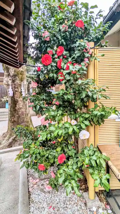 蛇窪神社の自然