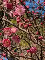 寳幢院(東京都)