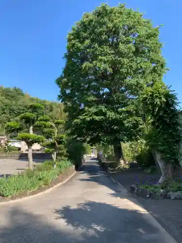 龍澤寺(神奈川県)