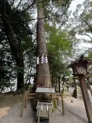 石上神宮(奈良県)
