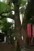 笠䅣稲荷神社(神奈川県)