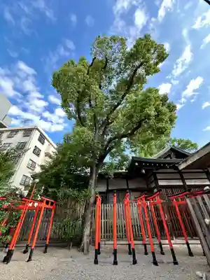 堀越神社(大阪府)