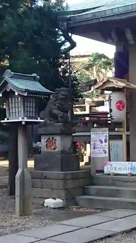 上目黒氷川神社の狛犬