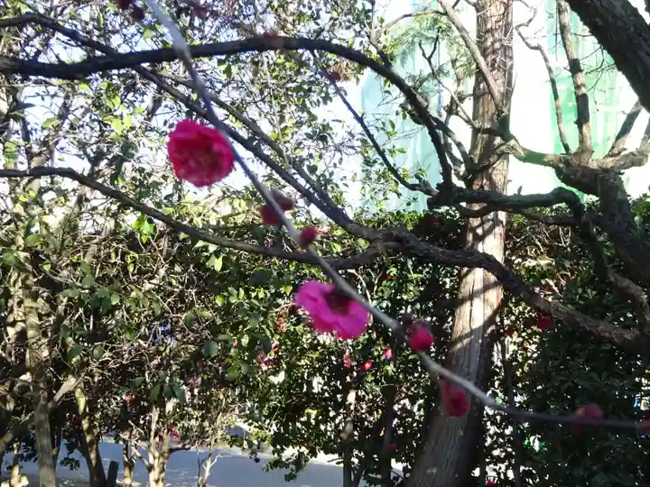 薭田神社の自然