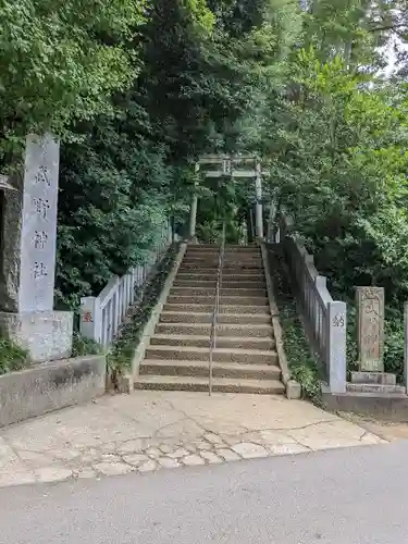 武野神社(埼玉県)