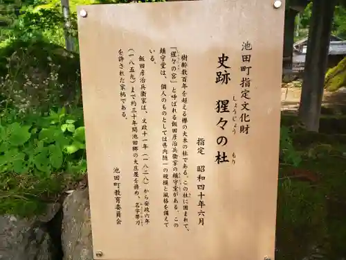 猩々の宮(福井県)