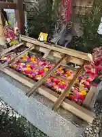 東京大神宮(東京都)