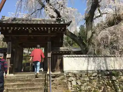 清雲寺の山門・神門