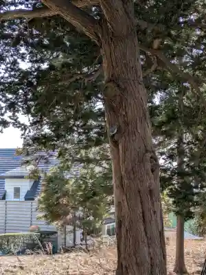 神山稲荷神社の{uncategorized: "未分類", other: "その他", undefined: "問題あり", building: "その他建物", grave: "お墓", sacred_gate: "鳥居", guardian: "狛犬", statue: "像", buddha: "仏像", history: "歴史", nature: "自然", garden: "庭園", animal: "動物", pagoda: "塔", temizu: "手水舎", mountain_gate: "山門・神門", sanctuary: "本殿・本堂", subordinate: "末社・摂社", art: "芸術", scenery: "景色", jizo: "地蔵", ema: "絵馬", goshuin: "御朱印", omikuji: "おみくじ", items: "授与品その他", amulet: "お守り", goshuincho: "御朱印帳", eats: "食事", festival: "お祭り", votive_dance: "神楽", shichigosan: "七五三参", wedding: "結婚式", experience: "体験その他", initially: "初詣", around: "周辺", anti_infection: "感染症対策"}