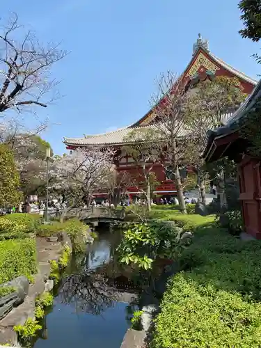 浅草寺(東京都)