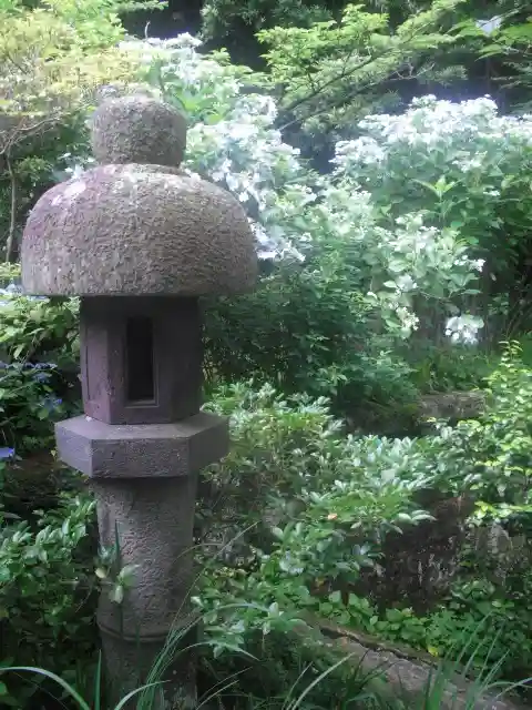 安國論寺(安国論寺)の塔