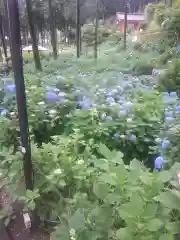 三室戸寺の自然