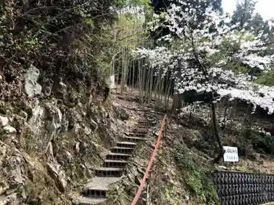 尺間神社(大分県)