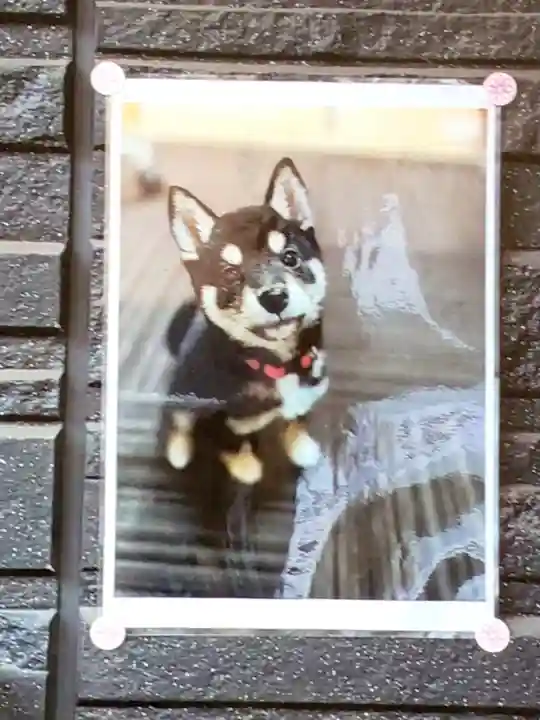 【閉業】小石川大神宮(東京都)